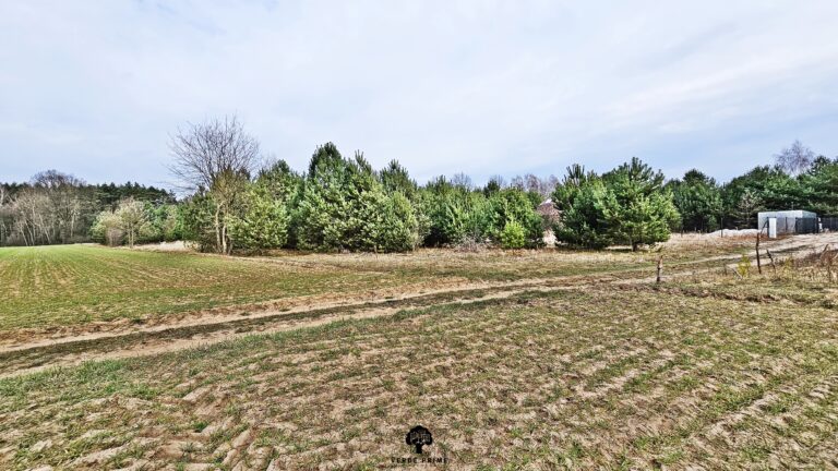 Działka budowlana 1409 m² | WZ na dom i jurtę | media | Borowiec - zdjęcie 10