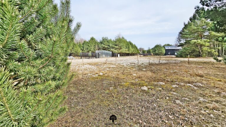Działka budowlana 1409 m² | WZ na dom i jurtę | media | Borowiec - zdjęcie 12
