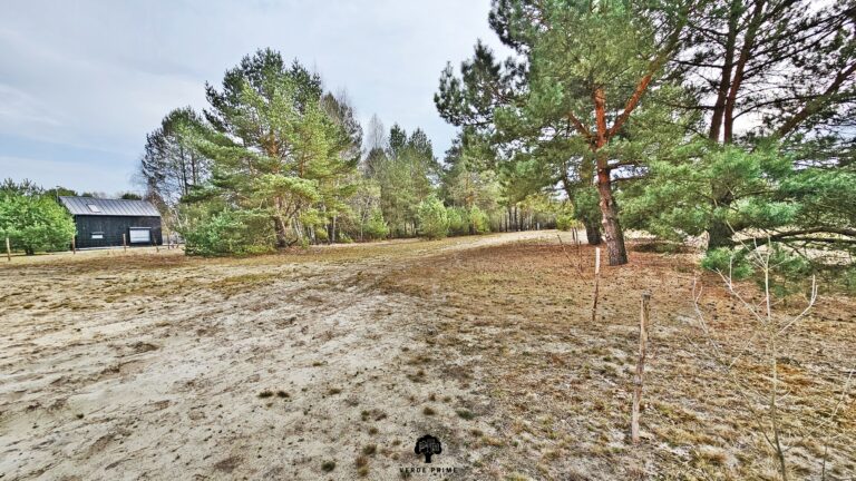 Działka budowlana 1409 m² | WZ na dom i jurtę | media | Borowiec - zdjęcie 14