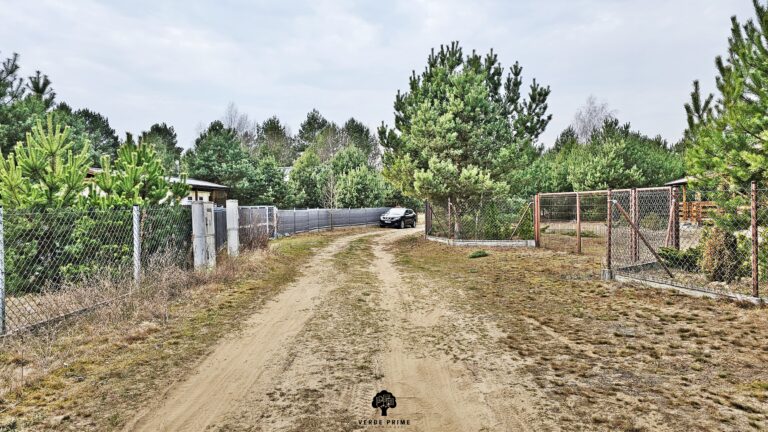 Działka budowlana 1409 m² | WZ na dom i jurtę | media | Borowiec - zdjęcie 15