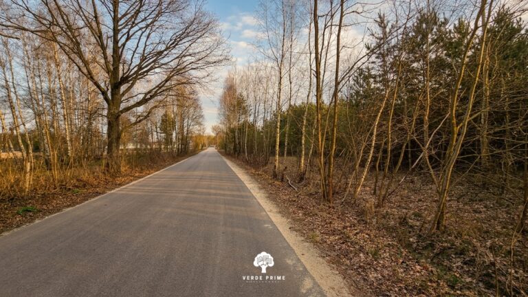 Działki Leśno-Budowlane obok Rzeki Czarnej (obszar Natura 2000) - zdjęcie 9