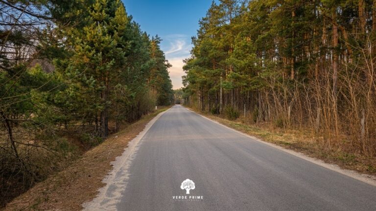 Działki Leśno-Budowlane obok Rzeki Czarnej (obszar Natura 2000) - zdjęcie 4