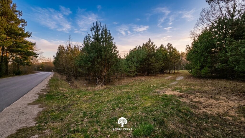 Działki Leśno-Budowlane obok Rzeki Czarnej (obszar Natura 2000)