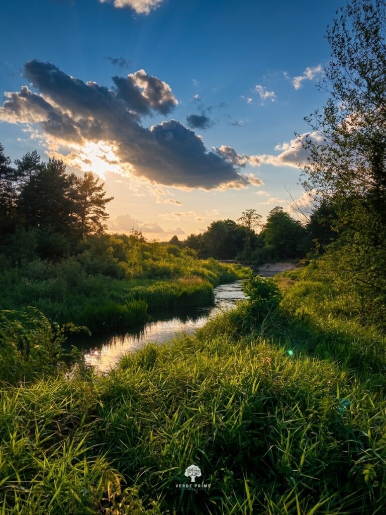 Działki Leśno-Budowlane obok Rzeki Czarnej (obszar Natura 2000)