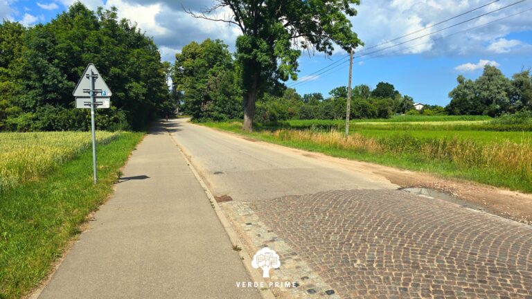 Działki Budowlane 999-1302m² w malowniczej okolicy 20min od Centrum Gdańska - zdjęcie 6